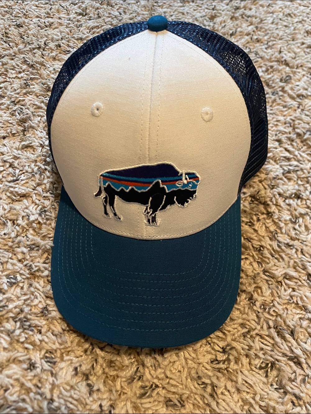 Patagonia White and Teal Trucker Hat with Buffalo Patch